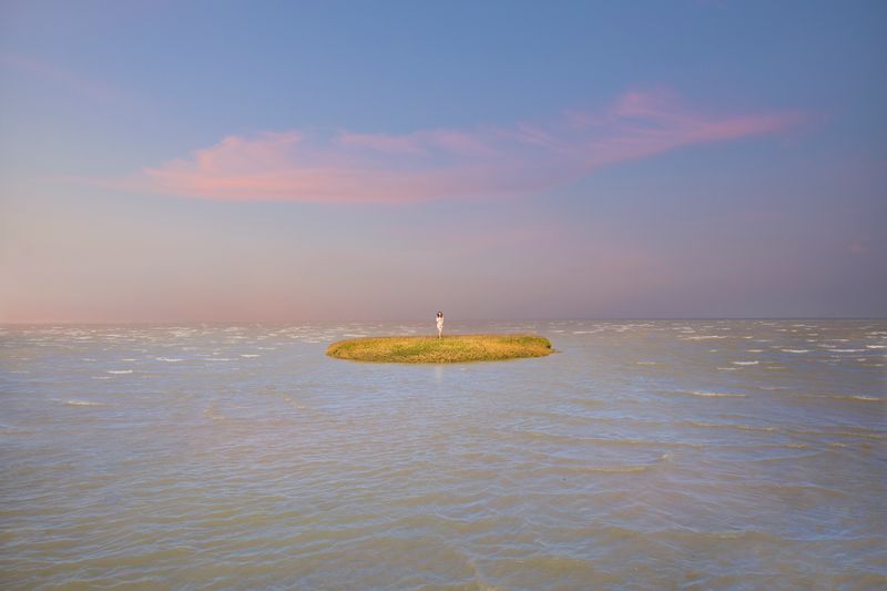 © Anne Nobels - Call of Venus