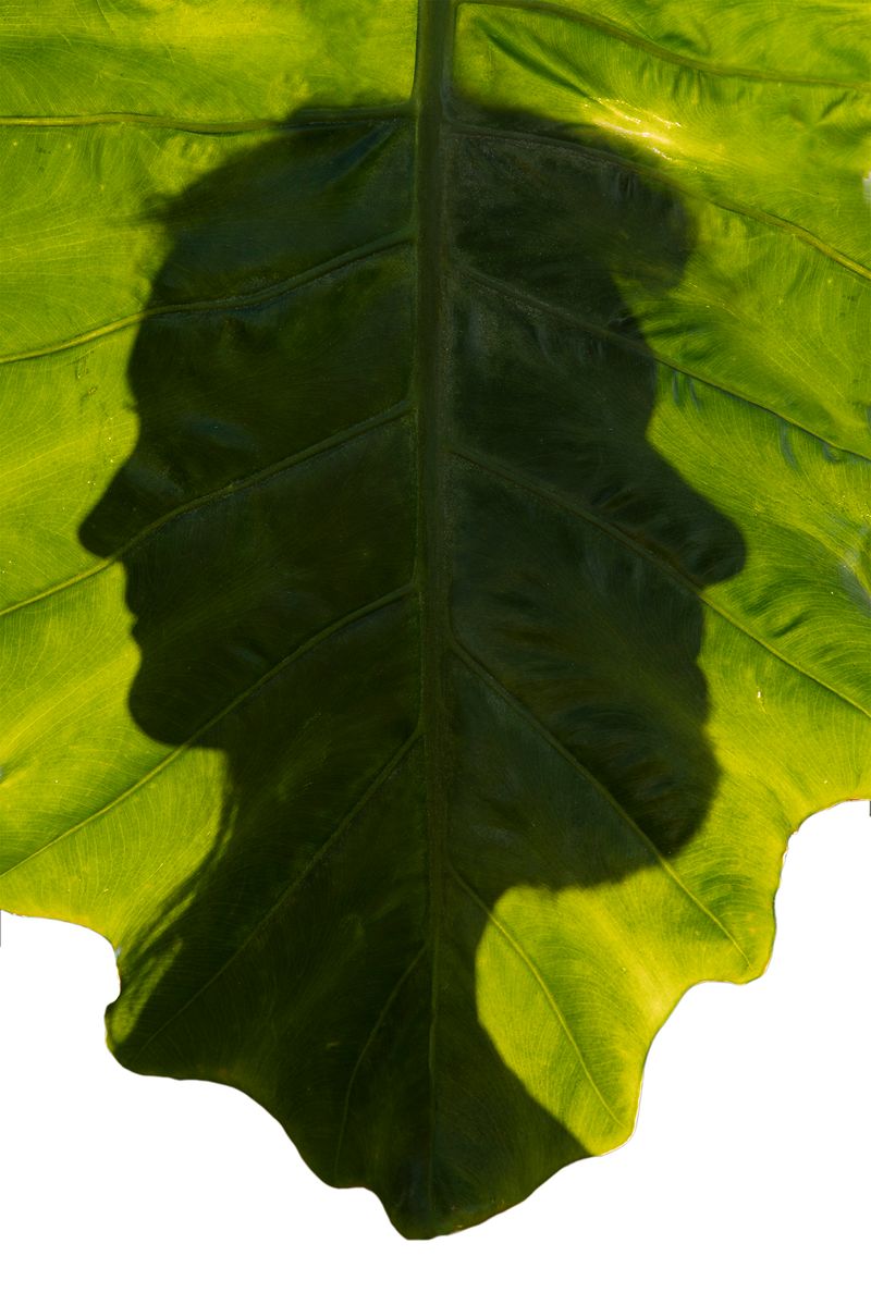 © Anne Nobels - Image from the Burning Lilies photography project