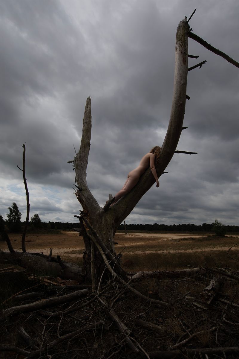 © Anne Nobels - Image from the Burning Lilies photography project