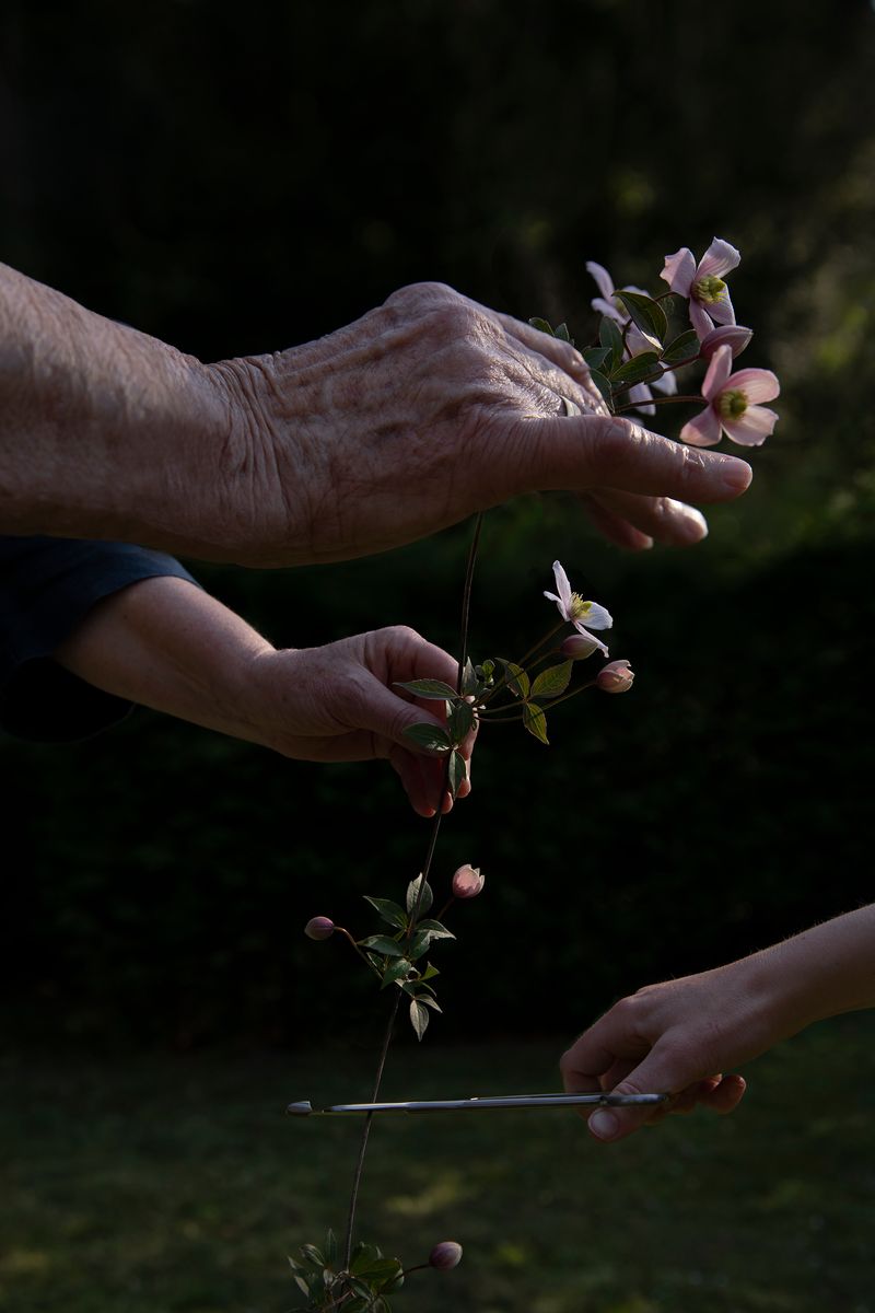 © Anne Nobels - Image from the Burning Lilies photography project