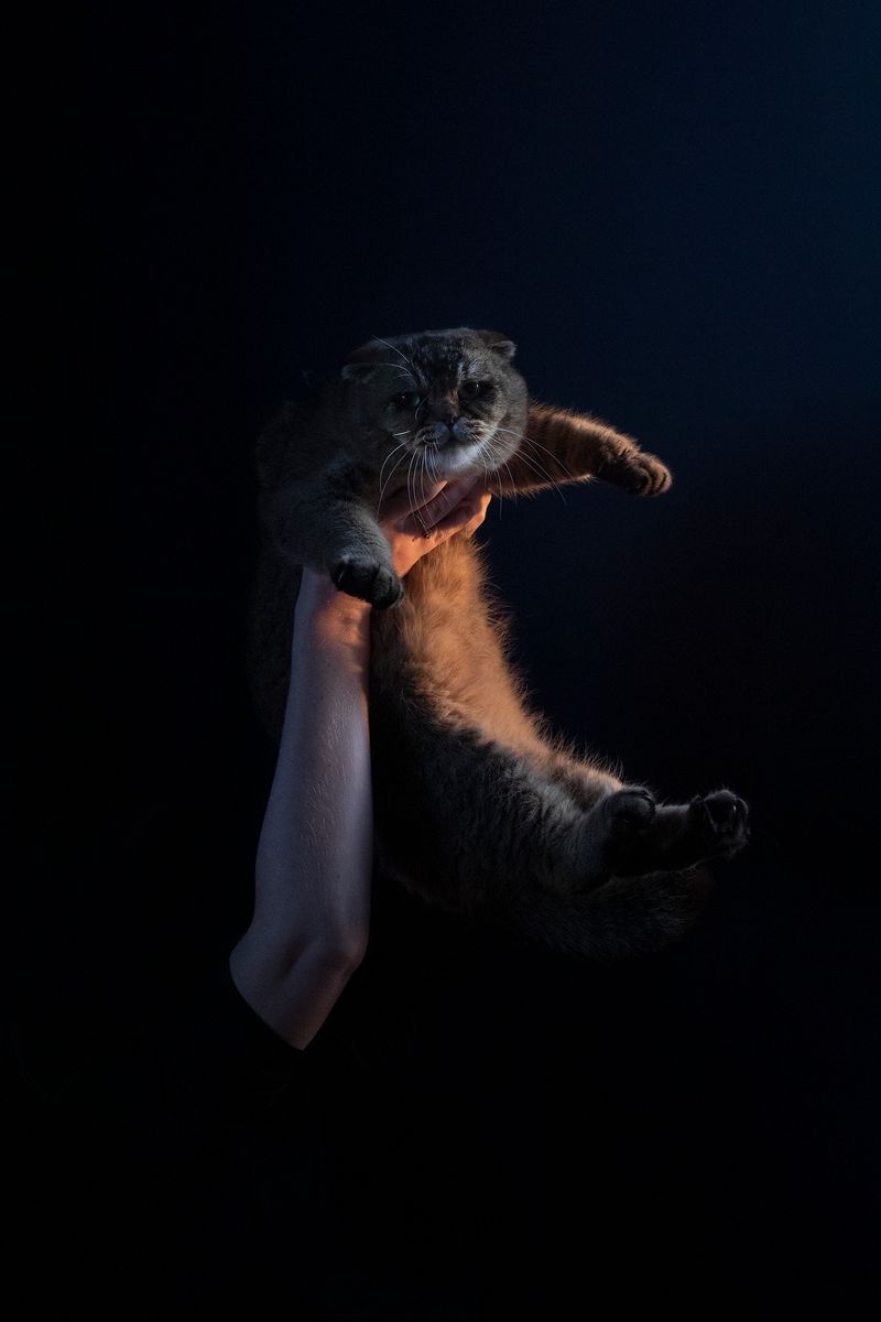 © Anne Nobels - Image from the Burning Lilies photography project