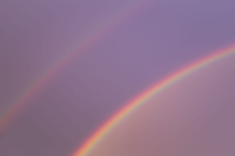 © Anne Nobels - Embrace the freedom to shape your life on your own terms.