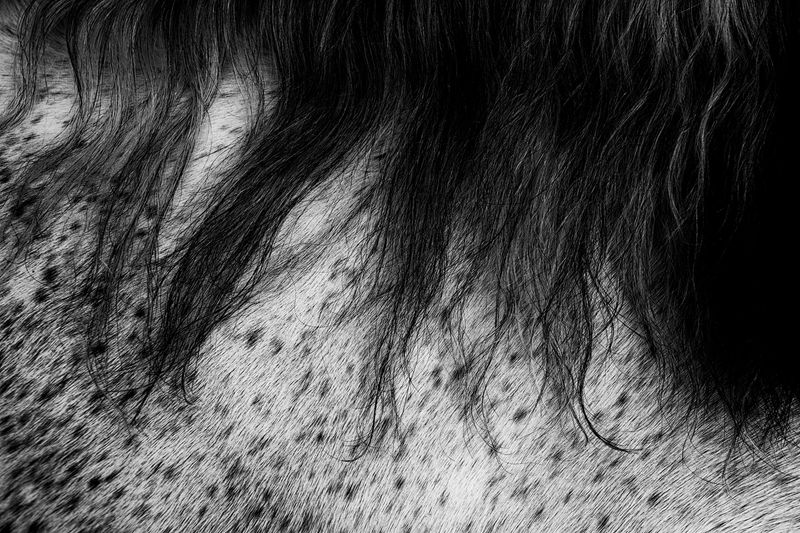 © Simona Bonanno - Image from the Neve photography project