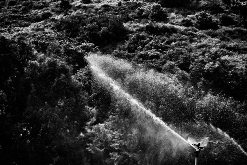 © Simona Bonanno - Image from the Neve photography project