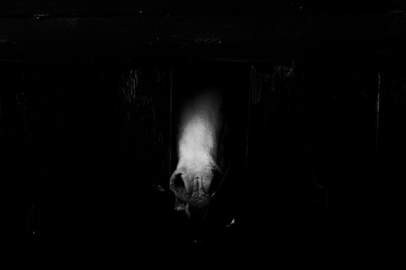 © Simona Bonanno - Image from the Neve photography project