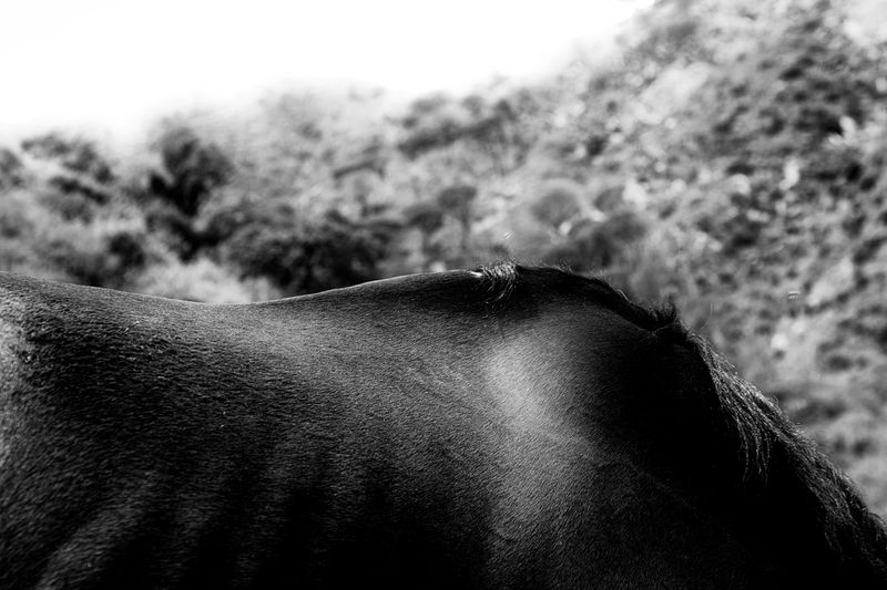 © Simona Bonanno - Image from the Neve photography project