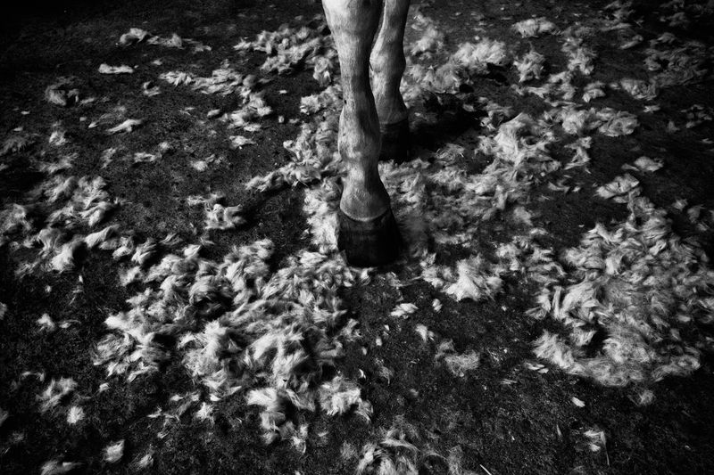 © Simona Bonanno - Image from the Neve photography project
