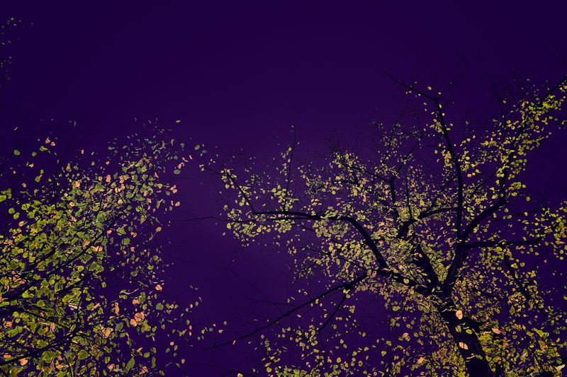 © Simona Bonanno - Image from the Hamadryádes photography project