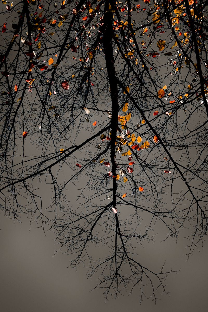 © Simona Bonanno - Image from the Hamadryádes photography project