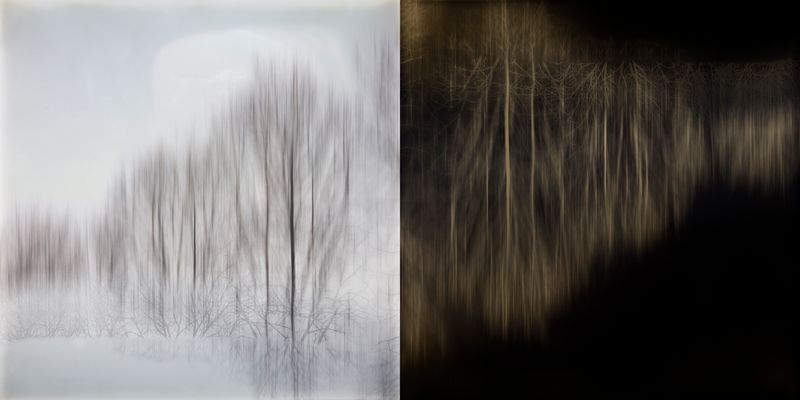 © Simona Bonanno - Image from the Hamadryádes photography project