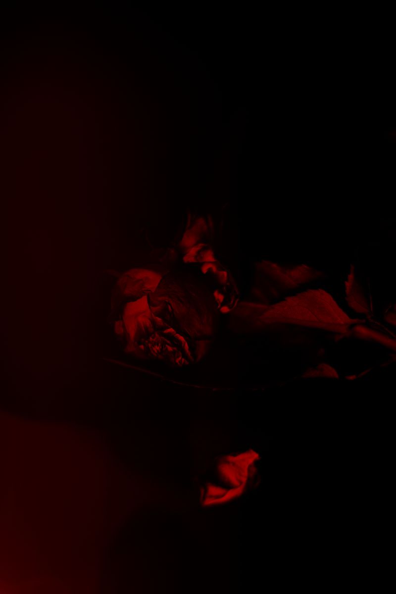 © Anna Lunghini - Image from the MOYA RIDNA photography project