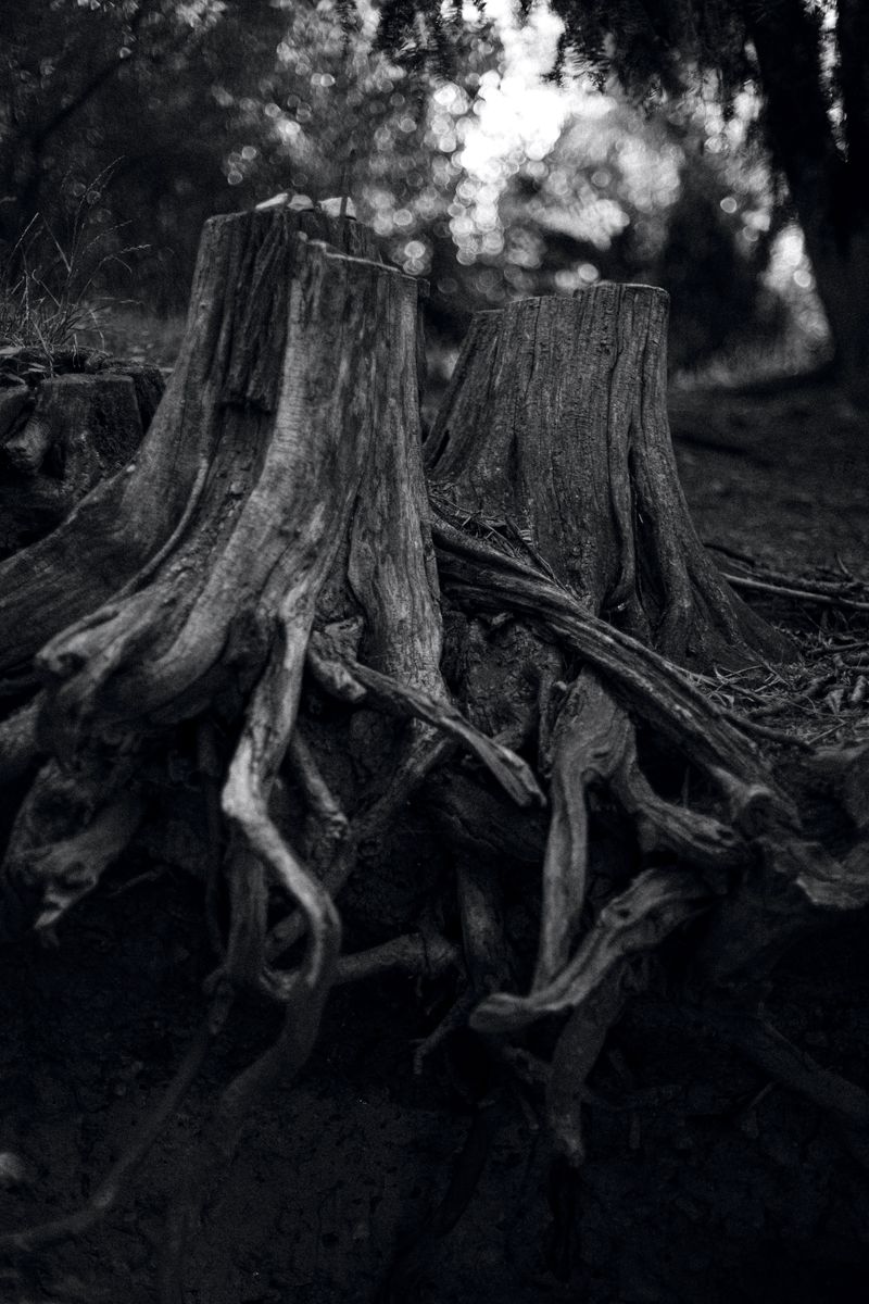 © Anna Lunghini - Image from the MOYA RIDNA photography project