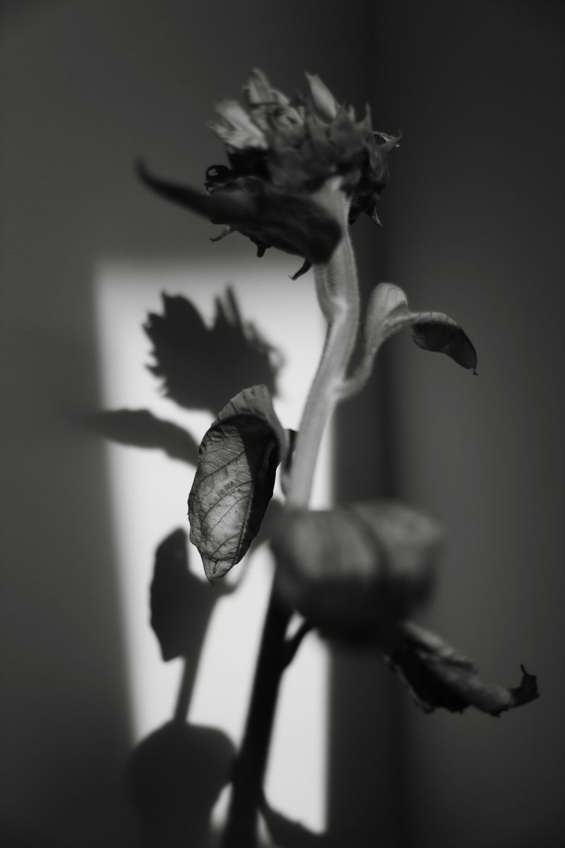 © Anna Lunghini - Image from the MOYA RIDNA photography project