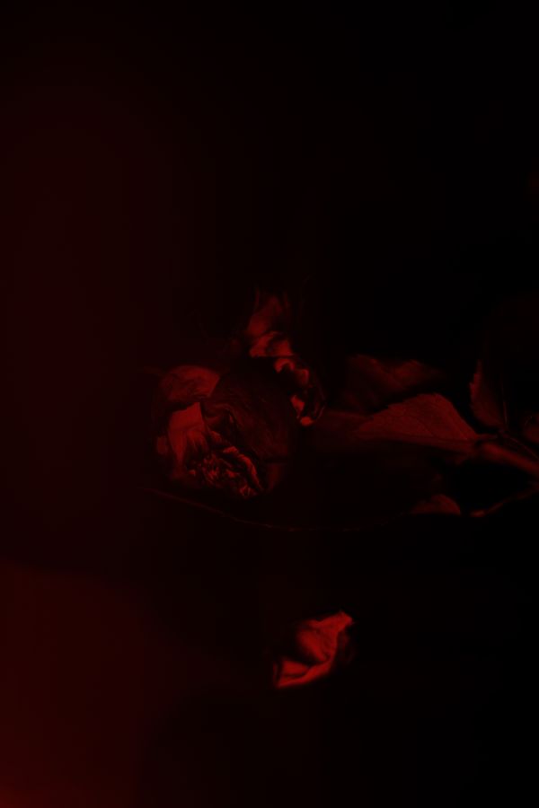 © Anna Lunghini - Image from the MOYA RIDNA photography project