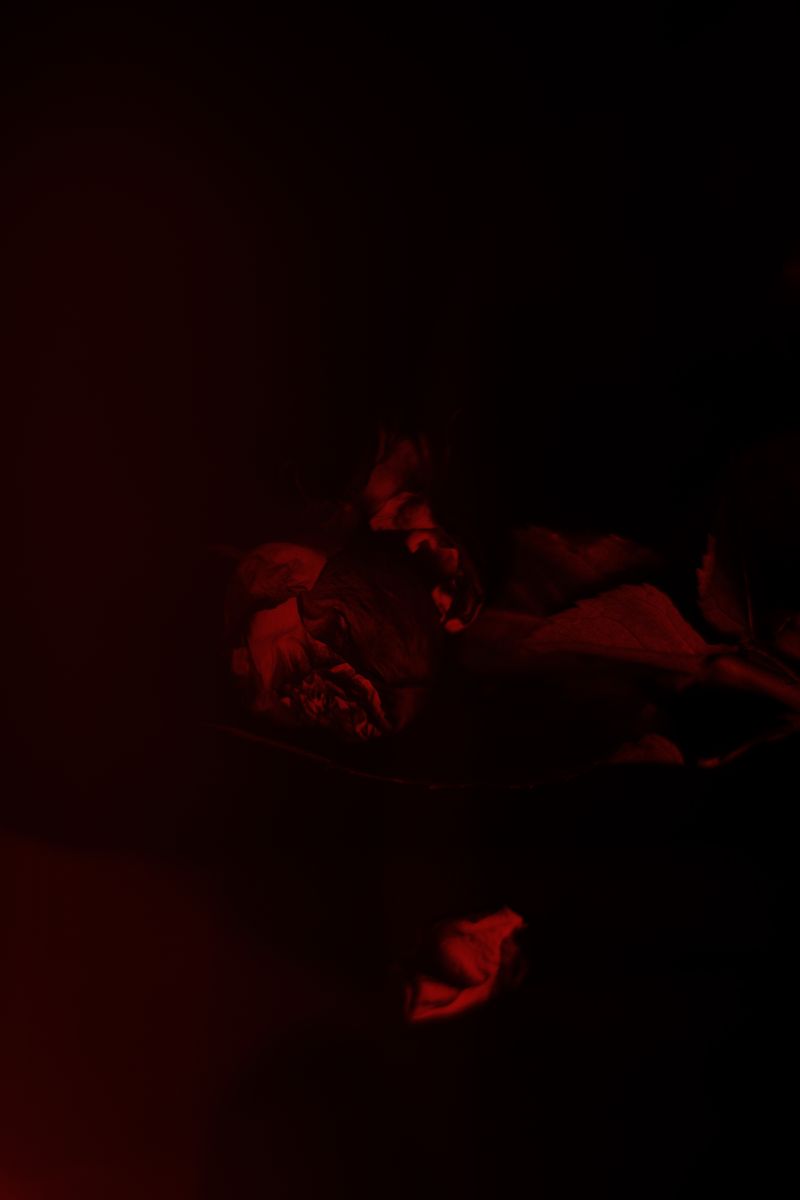 © Anna Lunghini - Image from the MOYA RIDNA photography project