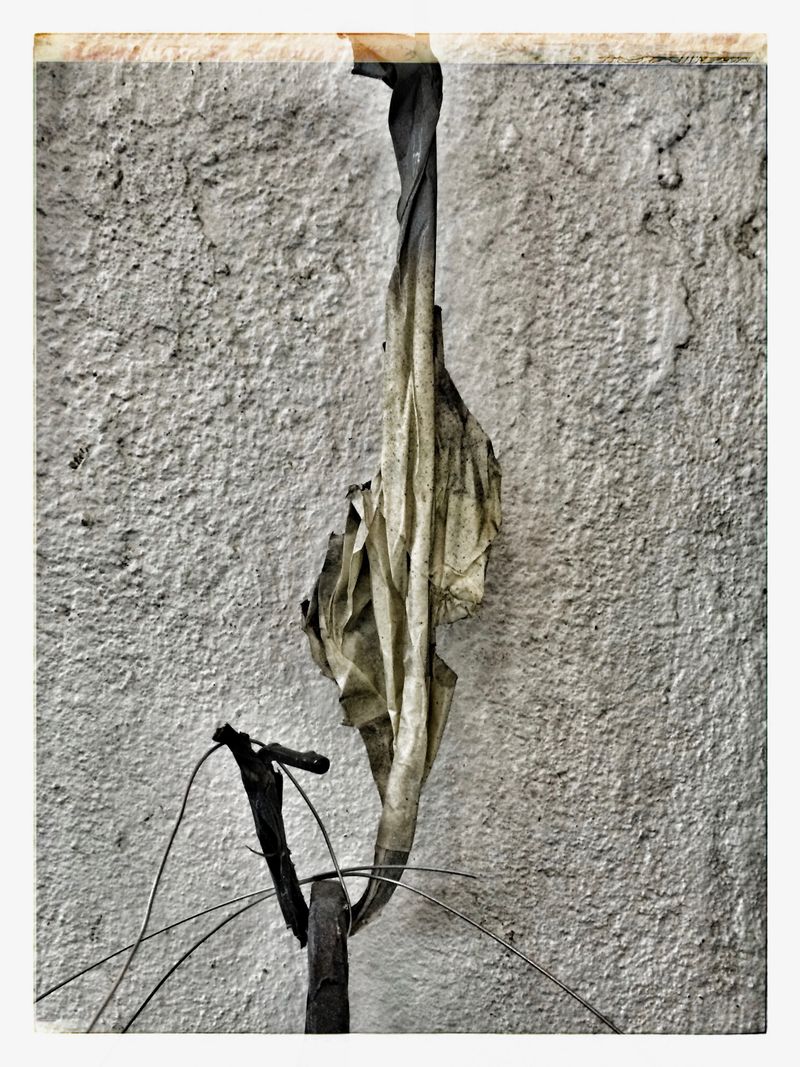 © Verena Kloos - Image from the Accidental Encounters photography project