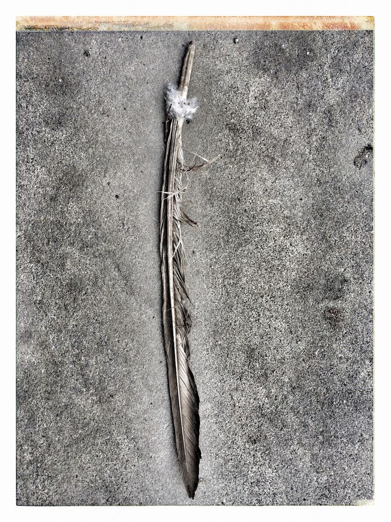 © Verena Kloos - Image from the Accidental Encounters photography project