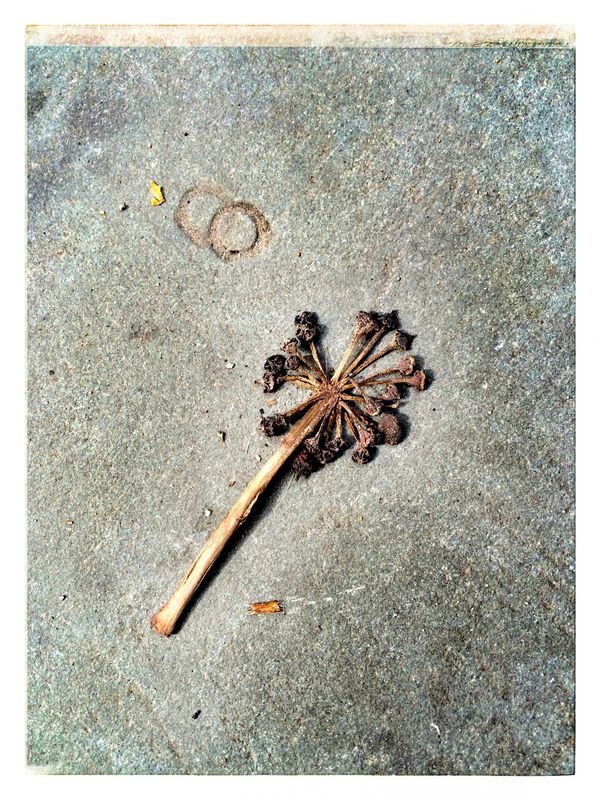 © Verena Kloos - Image from the Accidental Encounters photography project
