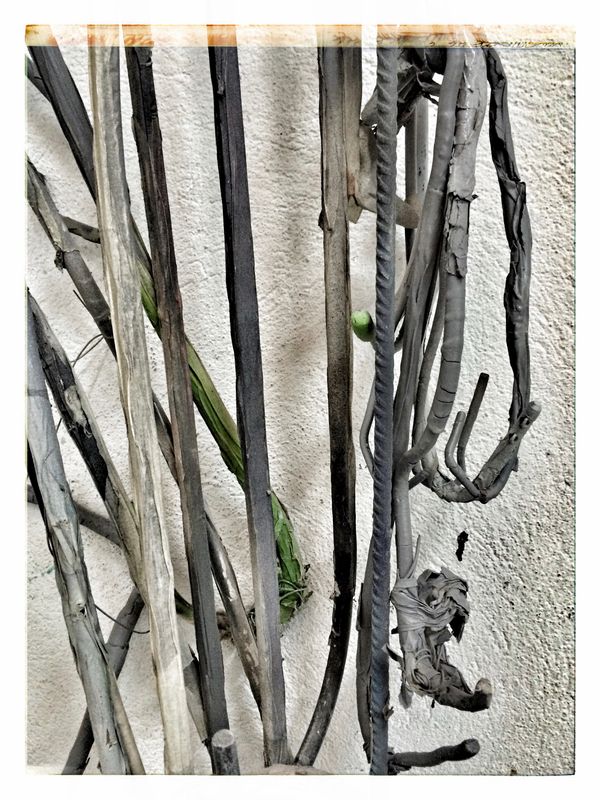 © Verena Kloos - Image from the Accidental Encounters photography project