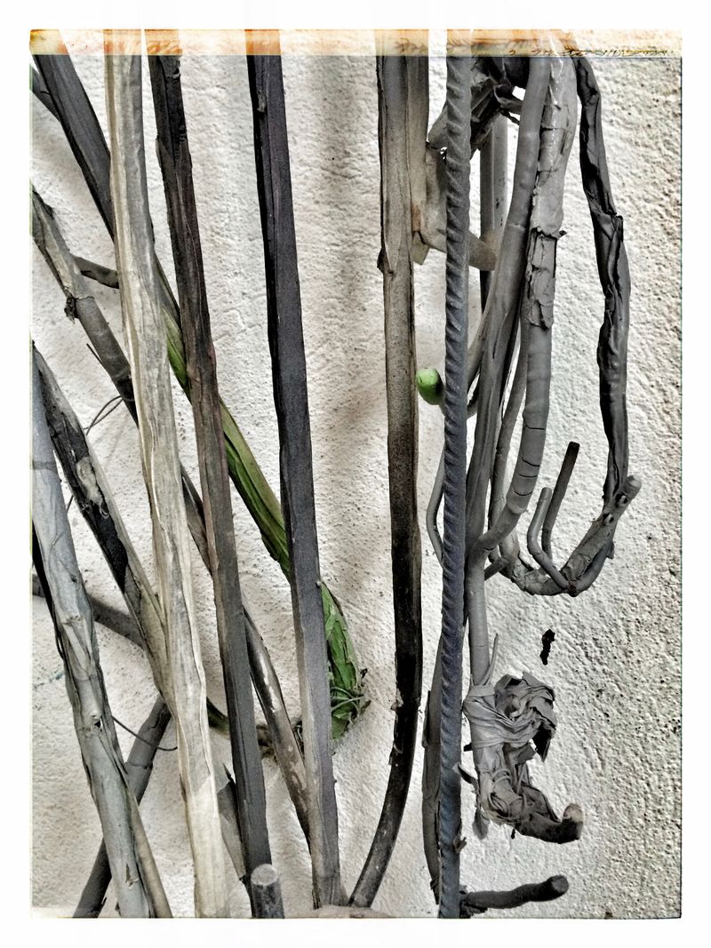 © Verena Kloos - Image from the Accidental Encounters photography project