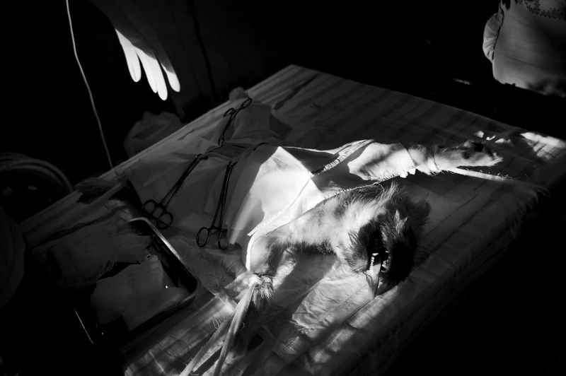 © Raisa Mikhaylova - Image from the Halfway home photography project