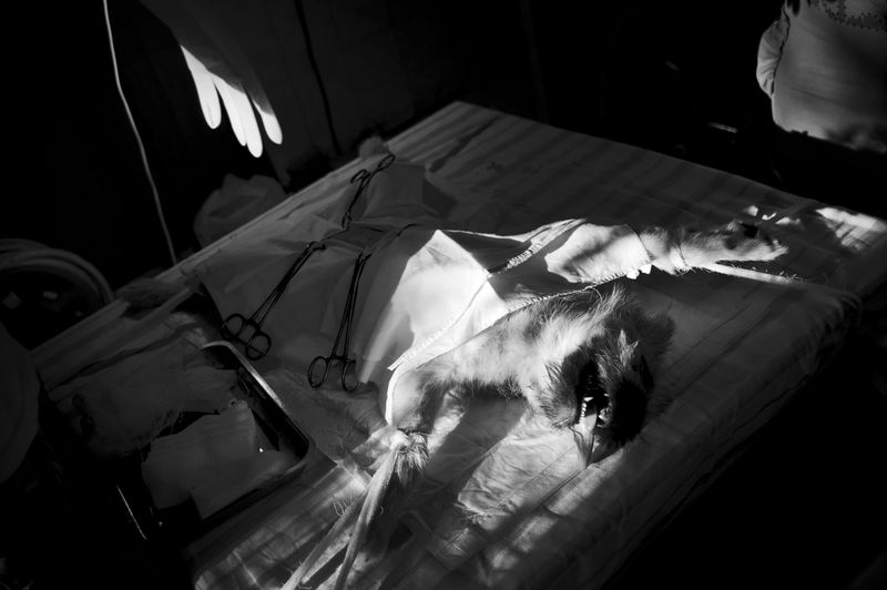 © Raisa Mikhaylova - Image from the Halfway home photography project
