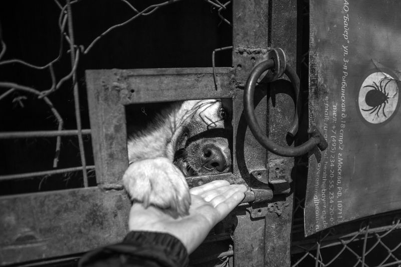 © Raisa Mikhaylova - Image from the Halfway home photography project
