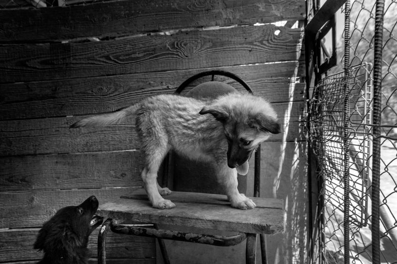 © Raisa Mikhaylova - Image from the Halfway home photography project