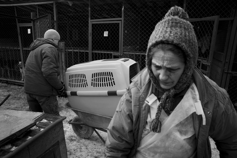 © Raisa Mikhaylova - Image from the Halfway home photography project