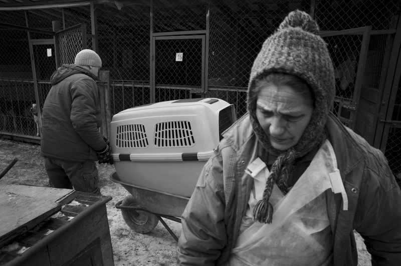 © Raisa Mikhaylova - Image from the Halfway home photography project
