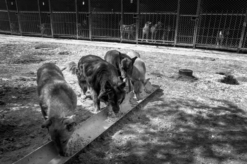 © Raisa Mikhaylova - Image from the Halfway home photography project