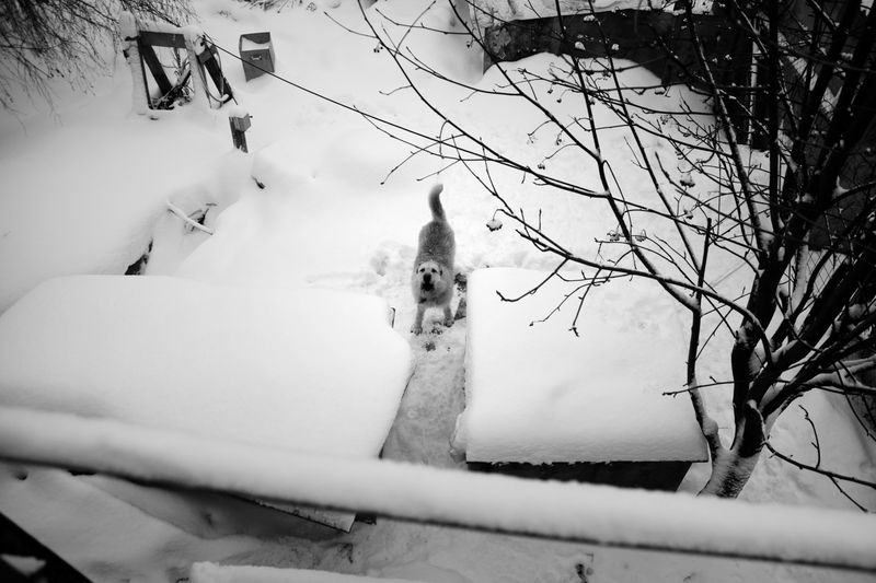 © Raisa Mikhaylova - Image from the Halfway home photography project