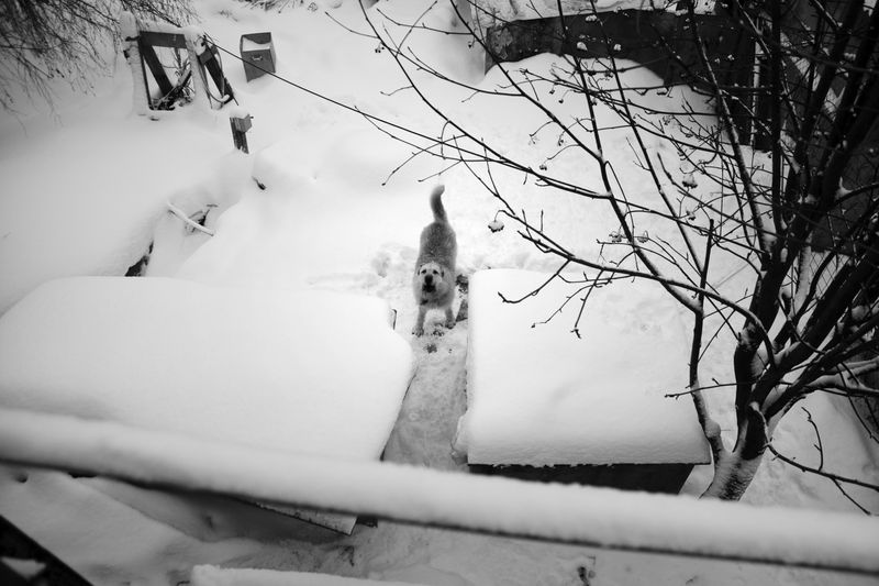 © Raisa Mikhaylova - Image from the Halfway home photography project