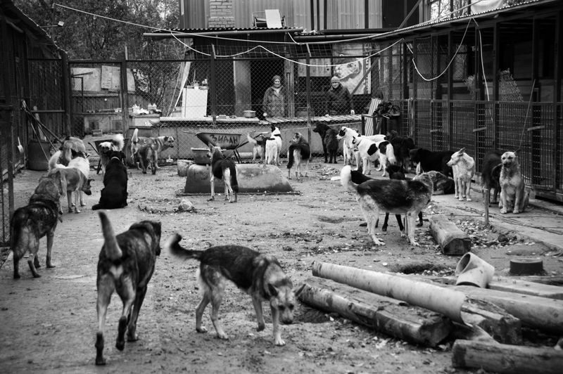 © Raisa Mikhaylova - Image from the Halfway home photography project