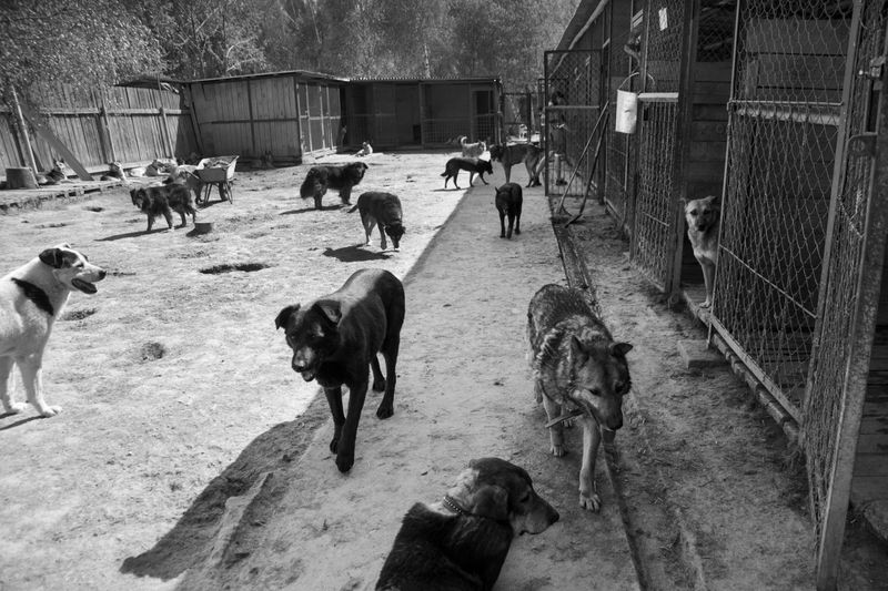 © Raisa Mikhaylova - Image from the Halfway home photography project