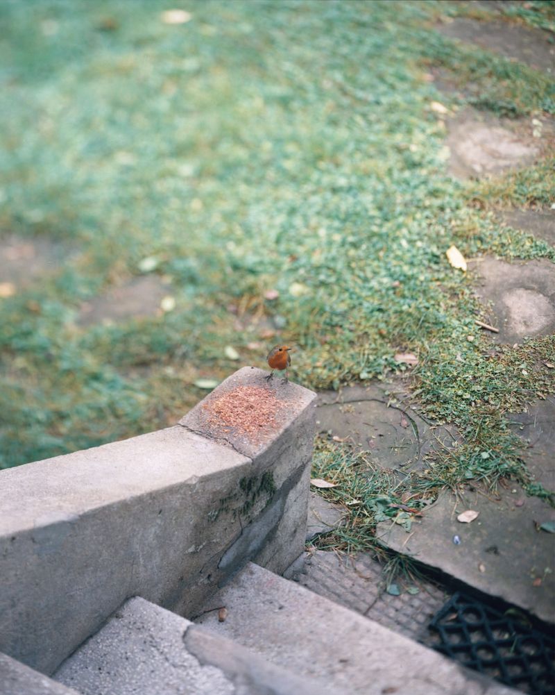 © Francesco Neri - Image from the trophy and treasure photography project