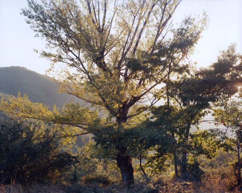 © Francesco Neri - Image from the trophy and treasure photography project