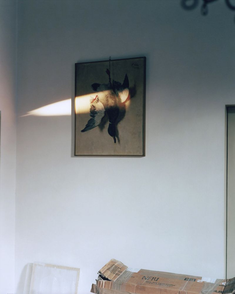 © Francesco Neri - Image from the trophy and treasure photography project