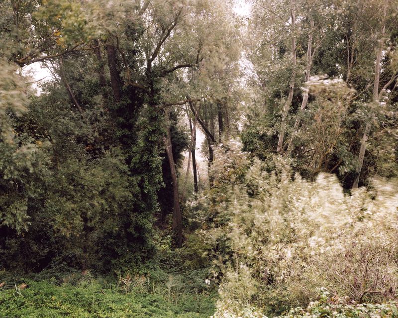 © Francesco Neri - Image from the trophy and treasure photography project