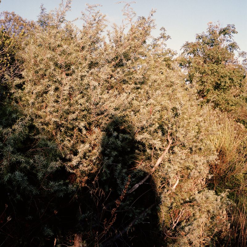 © Giulia Bernardi - Image from the ARCHIVIO ANTROPOLOGICO photography project