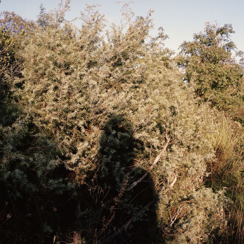 © Giulia Bernardi - Image from the ARCHIVIO ANTROPOLOGICO photography project