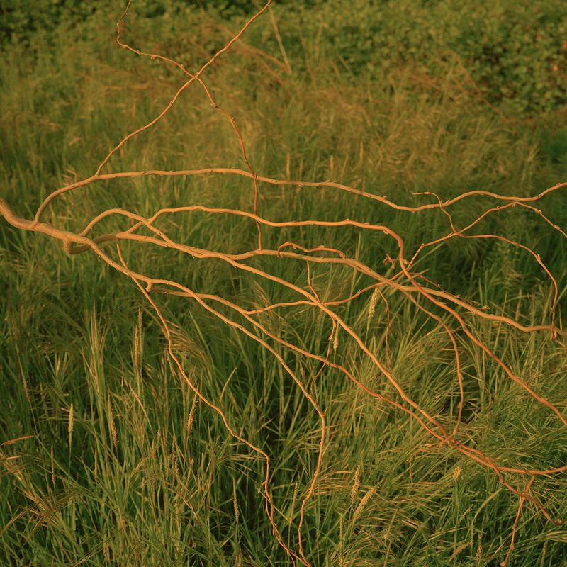 © Giulia Bernardi - Image from the ARCHIVIO ANTROPOLOGICO photography project