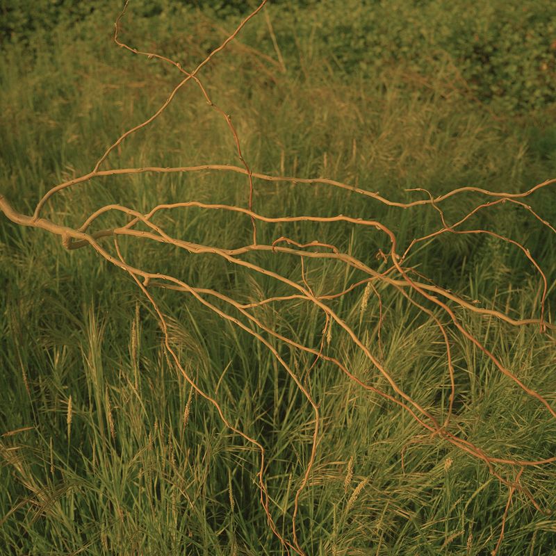 © Giulia Bernardi - Image from the ARCHIVIO ANTROPOLOGICO photography project