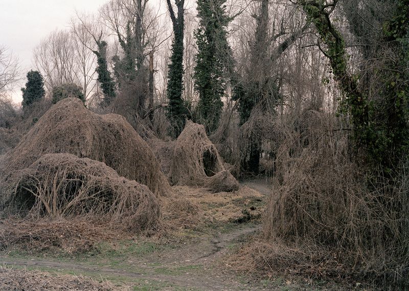 © Giulia Bernardi - Image from the ARCHIVIO ANTROPOLOGICO photography project