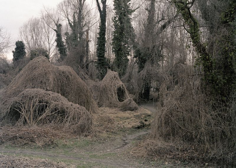© Giulia Bernardi - Image from the ARCHIVIO ANTROPOLOGICO photography project
