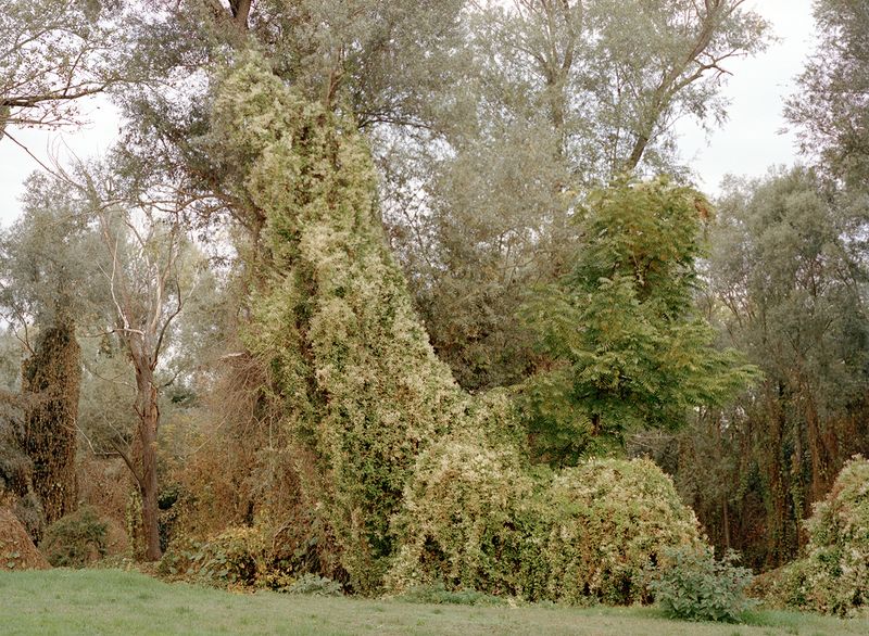 © Giulia Bernardi - Image from the ARCHIVIO ANTROPOLOGICO photography project