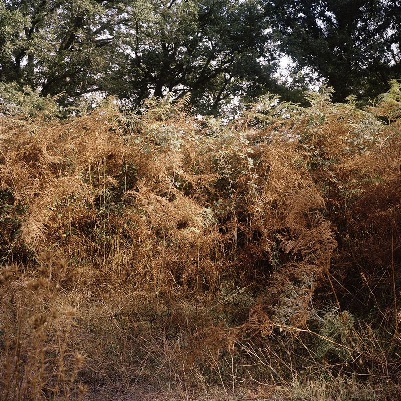 © Giulia Bernardi - Image from the ARCHIVIO ANTROPOLOGICO photography project