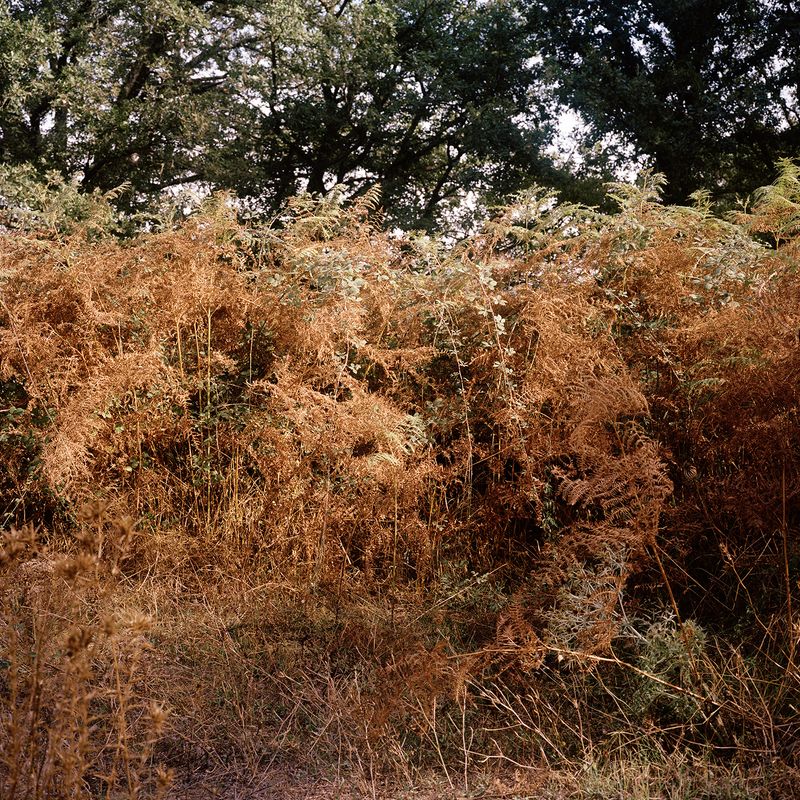 © Giulia Bernardi - Image from the ARCHIVIO ANTROPOLOGICO photography project