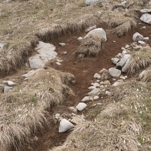 ARCHIVIO ANTROPOLOGICO
