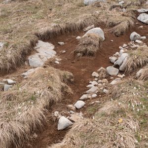 ARCHIVIO ANTROPOLOGICO